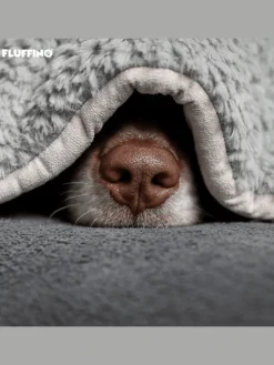 Hundedecke/Hundekissen - Wildlederimitat - Größe S (73 x 45 cm) - grau