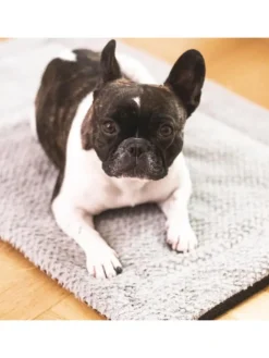 Hundedecke/Hundekissen - Wildlederimitat - Größe S (73 x 45 cm) - grau