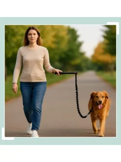 Hunde-Fahrradleine in Schwarz
