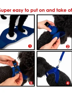 Hundegeschirr in Blau