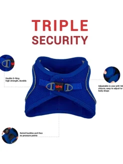 Hundegeschirr in Blau