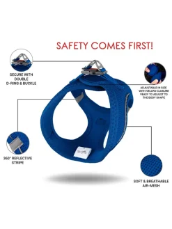 Hundegeschirr in Blau