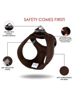 Hundegeschirr in Braun