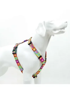 Hundegeschirr in Bunt