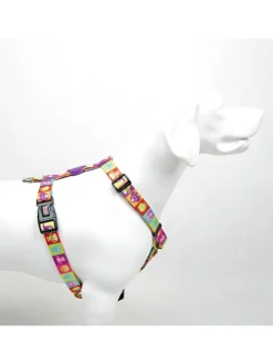 Hundegeschirr in Bunt