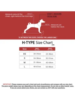 Hundegeschirr in Bunt