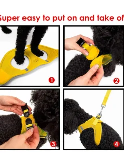 Hundegeschirr in Gelb