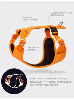 Hundegeschirr in Orange