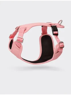 Hundegeschirr in Rosa