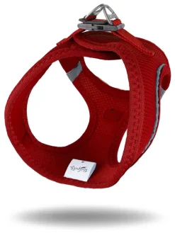 Hundegeschirr in Rot