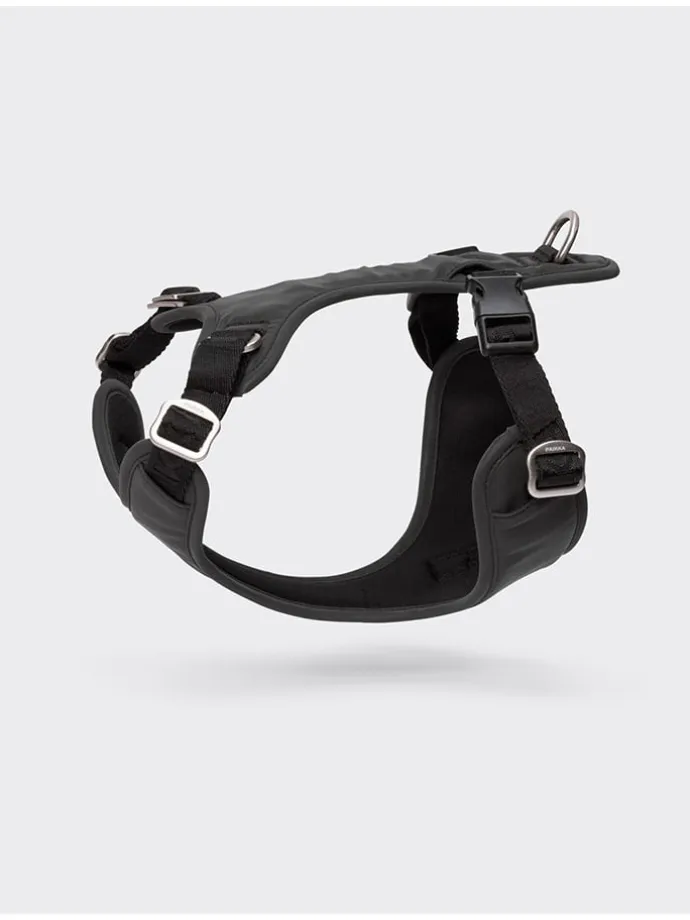 Hundegeschirr in Schwarz