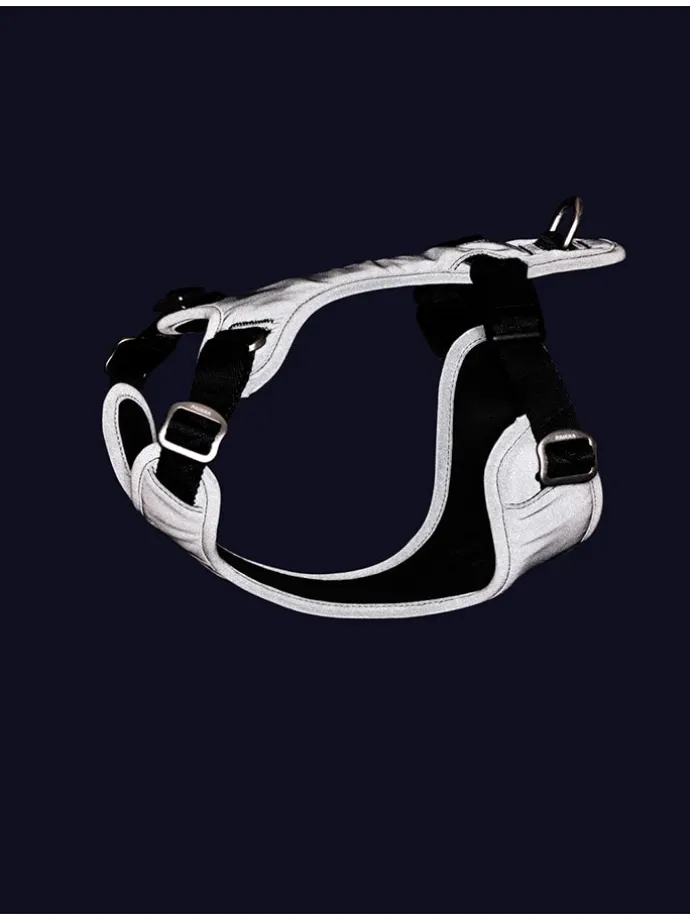 Hundegeschirr in Schwarz