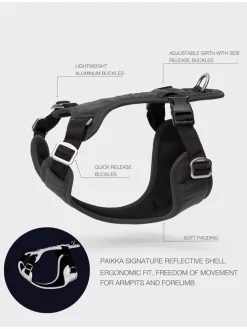 Hundegeschirr in Schwarz