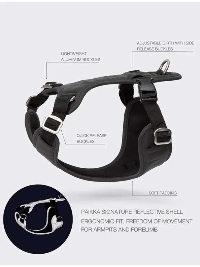 Hundegeschirr in Schwarz