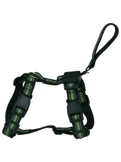 Hundegeschirr in Schwarz/ Grün