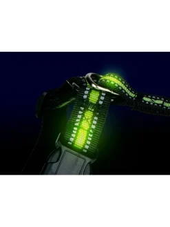 Hundegeschirr in Schwarz/ Grün