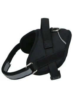 Hundegschirr in Schwarz