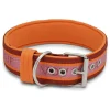 Hundehalsband in Orange/ Rot