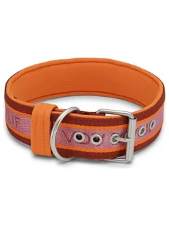 Hundehalsband in Orange/ Rot
