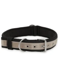 Hundehalsband in Schwarz/ Creme