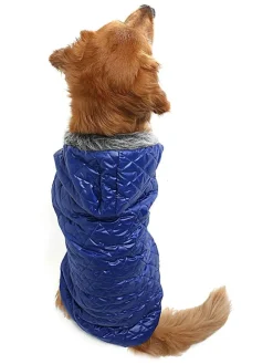 Hundehoodie in Blau