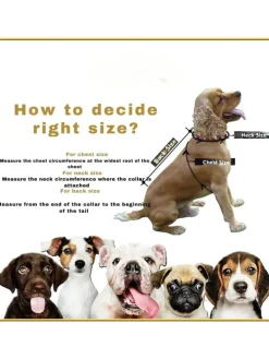 Hundehoodie in Hellblau