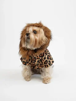 Hundehoodie in Hellbraun