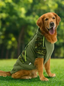 Hundehoodie in Khkai