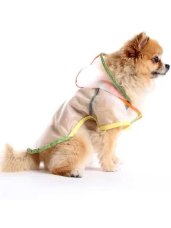 Hundehoodie in Ohne Farbe/ Bunt