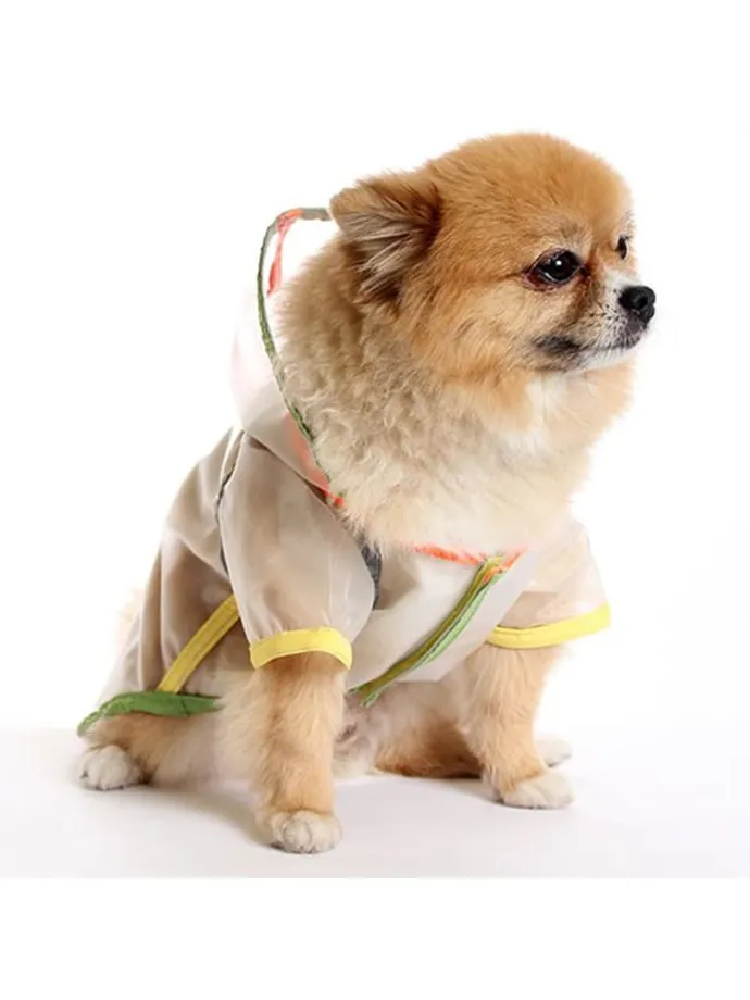 Hundehoodie in Ohne Farbe/ Bunt