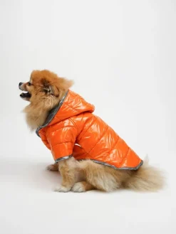 Hundehoodie in Orange