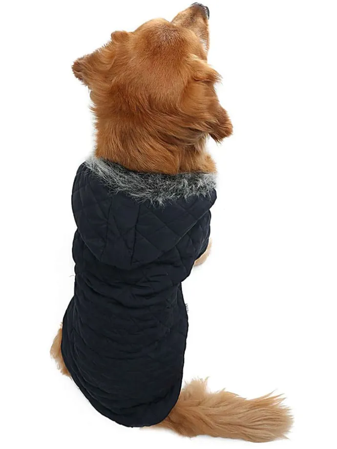Hundehoodie in Schwarz