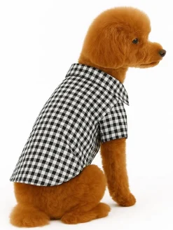 Hundehoodie in Schwarz/ Weiß