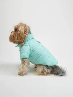 Hundehoodie in Türkis