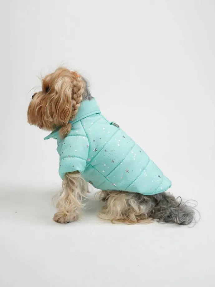 Hundehoodie in Türkis