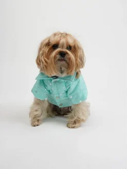 Hundehoodie in Türkis