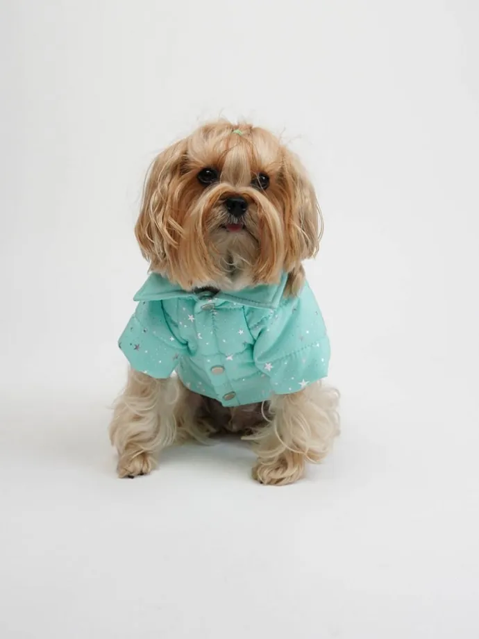 Hundehoodie in Türkis