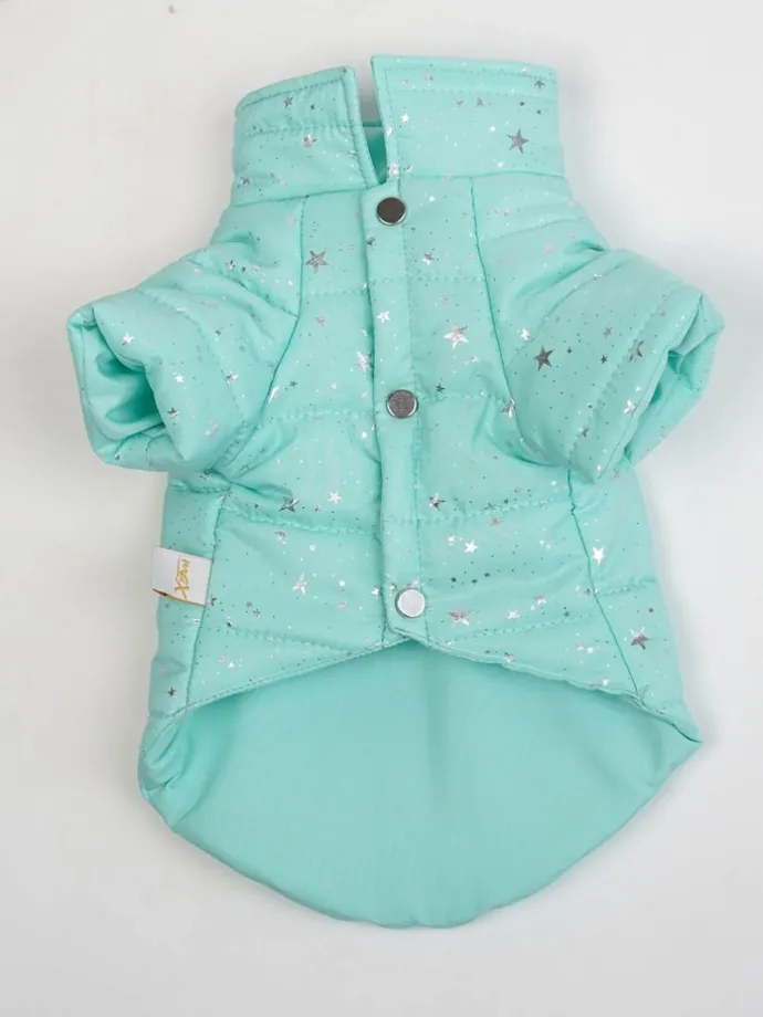Hundehoodie in Türkis