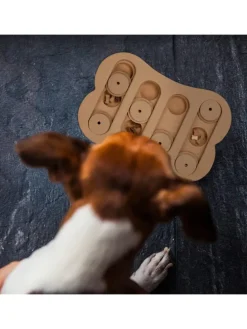 Hunde-Intelligenzspielzeug in Natur