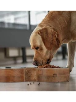 Hundenapfbar in Natur/ Silber - (B)48 x (H)8 x (T)22 cm