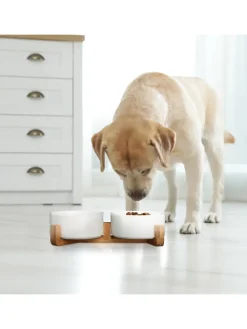 Hundenapfbar in Weiß - 850 ml