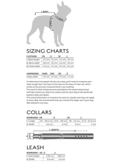 Hundepullover in Gelb/ Blau