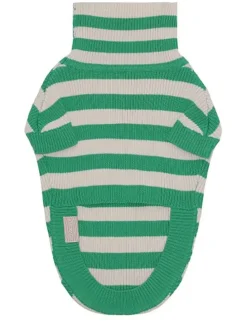 Hundepullover in Grün/ Creme