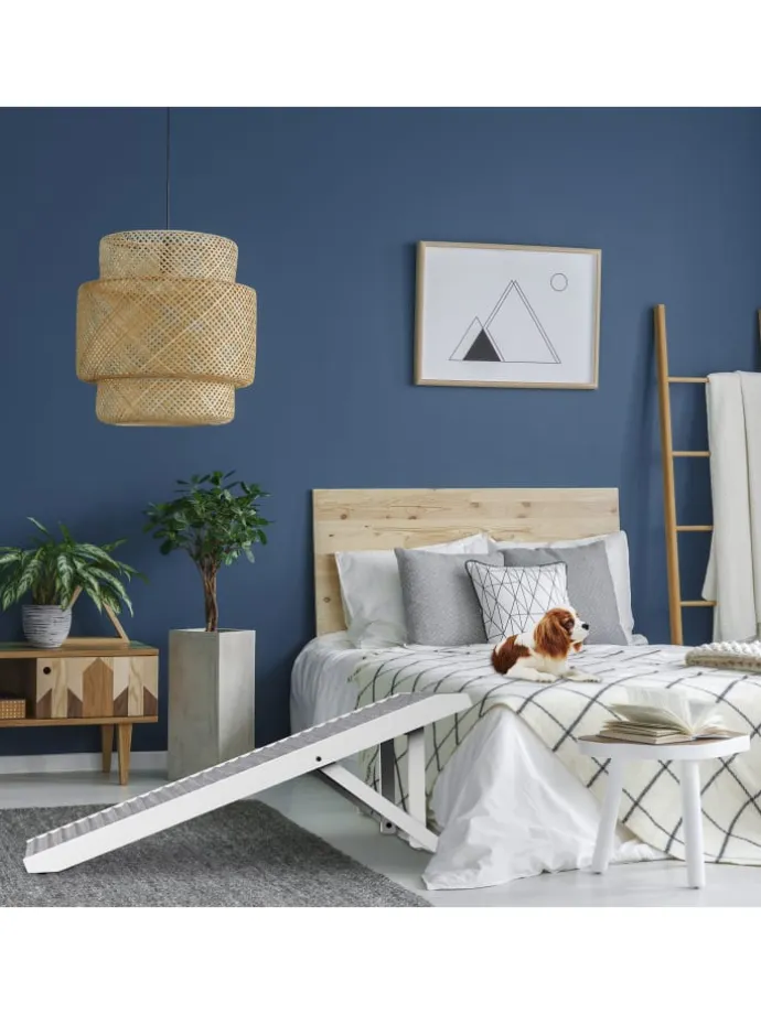 Hunderampe in Grau/ Weiß