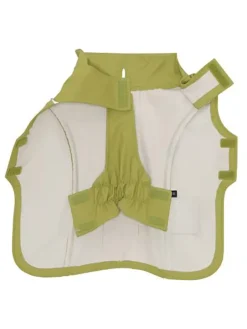 Hunderegenmantel in Oliv