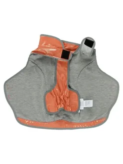 Hunderegenmantel in Orange