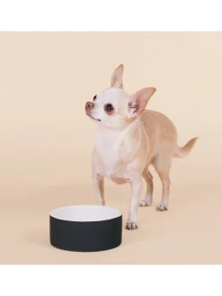 Hundeschüssel "Cool Bowl" in Schwarz - Ø13 cm