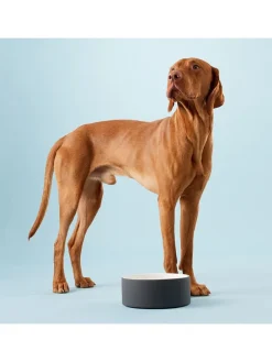 Hundeschüssel "Cool Bowl" in Schwarz - Ø20 cm