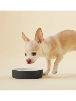 Hundeschüssel "Cool Bowl" in Schwarz - Ø13 cm