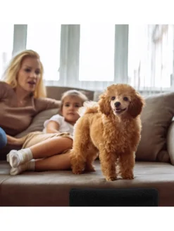 Hundetreppe in Grau - (B)35x (H)30 x (T)45 cm